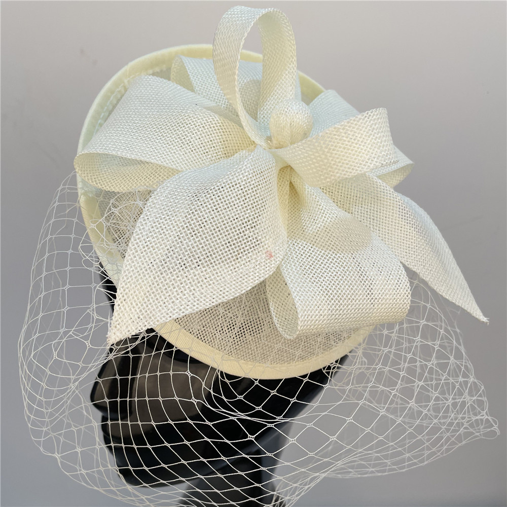 Bruid Mesh Bruiloft Fascinator - Hair Net Invisible recensie en prijs
