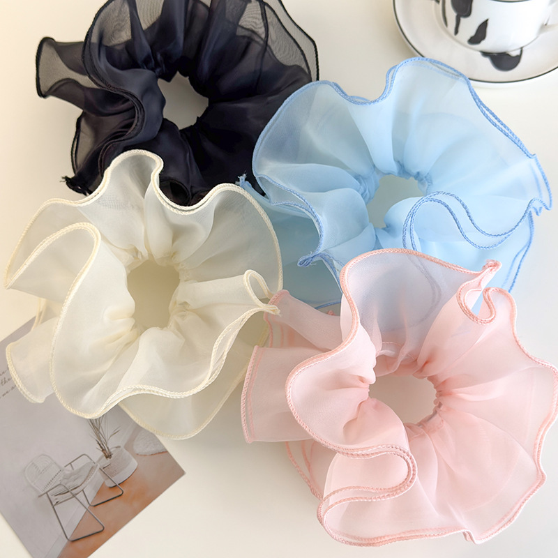Balletstijl dubbellaagse mesh  - Hair Net Invisible recensie en prijs