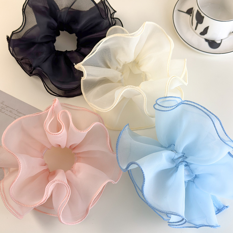Balletstijl dubbellaagse mesh  - Hair Net Invisible recensie en prijs
